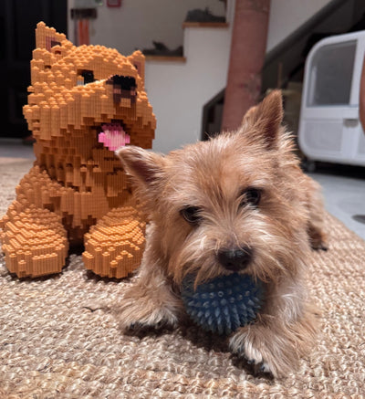 a small lion, custom bricks